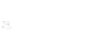 discoverycanva